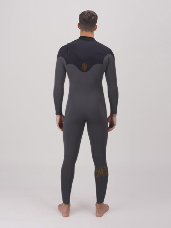 waveslave gris dorso